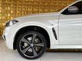 Daumennagel 12 - BMW X6 M50 d/AUTOMATIK/AHK/ACC/4X4/VOLL/EURO 6/