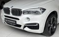Daumennagel 10 - BMW X6 M50 d/AUTOMATIK/AHK/ACC/4X4/VOLL/EURO 6/