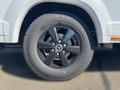 Daumennagel 5 - Malibu I 450 RB LE comfort Mercedes/Combi 6E/ohne Hubbett