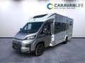 Daumennagel 1 - Carado T 448 Messeaktion/TopAusstattung/elektr Bremse/Backofen/Hubbett