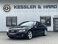 Daumennagel 1 - Audi A5 Coupe 1.8 TFSI/S-Line/Xenon/Navi/TOP