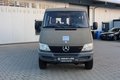 Daumennagel 3 - Mercedes-Benz 313 CDI Sprinter KASTEN 313 CDI 4x4, 129 PS