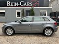 Daumennagel 3 - Audi A3 Sportback 2.0 TDI/66TKM/I.HD/NAVI/SDACH/XENON
