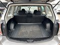 Daumennagel 10 - Subaru Forester Active 2.0/AHK/KLIMA/SHZ/MFL/TEMPOMAT