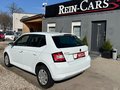 Daumennagel 4 - Skoda Fabia Joy 1.0/90TKM/II.HAND/NAVI/TEMPOM/SHZ/MFL/