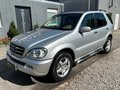 Daumennagel 5 - Mercedes-Benz ML 320 Elegance/AHK/LEDER/TEMP/PDC/BT/KLIMAAUT/