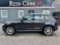 Daumennagel 3 - Audi Q5 2.0 TDI 105 kW/I.HD/PANO/XENON/ALCANTARA/TEMP