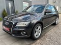 Daumennagel 5 - Audi Q5 2.0 TDI 105 kW/I.HD/PANO/XENON/ALCANTARA/TEMP