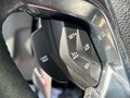 Daumennagel 22 - Ford Grand Tourneo Connect1.5 Trend/II.HD/KAM/AHK/NAV