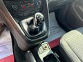 Daumennagel 23 - Ford Grand Tourneo Connect1.5 Trend/II.HD/KAM/AHK/NAV