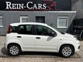 Daumennagel 2 - Fiat Panda 1.2 Pop/34TKM/I.HAND/ALLWETTER/TÜV-NEU/