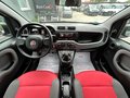 Daumennagel 12 - Fiat Panda 1.2 Pop/34TKM/I.HAND/ALLWETTER/TÜV-NEU/