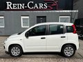 Daumennagel 3 - Fiat Panda 1.2 Pop/34TKM/I.HAND/ALLWETTER/TÜV-NEU/