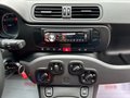 Daumennagel 21 - Fiat Panda 1.2 Pop/34TKM/I.HAND/ALLWETTER/TÜV-NEU/