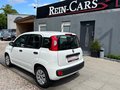 Daumennagel 4 - Fiat Panda 1.2 Pop/34TKM/I.HAND/ALLWETTER/TÜV-NEU/