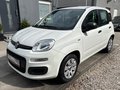 Daumennagel 5 - Fiat Panda 1.2 Pop/34TKM/I.HAND/ALLWETTER/TÜV-NEU/