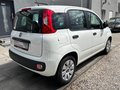 Daumennagel 6 - Fiat Panda 1.2 Pop/34TKM/I.HAND/ALLWETTER/TÜV-NEU/