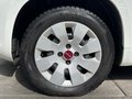 Daumennagel 7 - Fiat Panda 1.2 Pop/34TKM/I.HAND/ALLWETTER/TÜV-NEU/