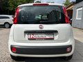 Daumennagel 9 - Fiat Panda 1.2 Pop/34TKM/I.HAND/ALLWETTER/TÜV-NEU/