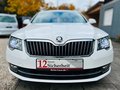 Daumennagel 8 - Skoda Superb Elegance 2.0TDI DSG/69TKM/NAVI/VOLL/