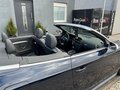 Daumennagel 9 - Audi A5 Cabrio 3.0 TDI quattro/KEYL/B&O/TOTW/S-LINE+