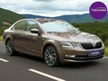 Daumennagel 1 - Skoda Octavia L&K 4x4 Automatik Standheizung