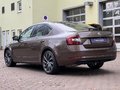 Daumennagel 5 - Skoda Octavia L&K 4x4 Automatik Standheizung