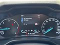 Daumennagel 48 - Ford Grand Tourneo Connect Titanium Automatik