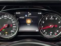 Daumennagel 62 - Mercedes-Benz E 250  7 Sitzer Leder Navi