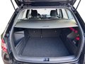 Daumennagel 31 - Skoda Fabia Combi Style  AppleCarPlay SHZ Klima