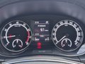 Daumennagel 20 - Skoda Fabia Combi Style  AppleCarPlay SHZ Klima