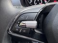 Daumennagel 17 - Skoda Fabia Combi Style  AppleCarPlay SHZ Klima