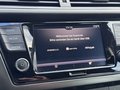 Daumennagel 22 - Skoda Fabia Combi Style  AppleCarPlay SHZ Klima