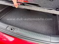 Daumennagel 28 - Volkswagen Polo V Life  Schiebedach Klima SZH PDC