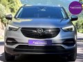 Daumennagel 35 - Opel Grandland Edition  Navi Apple CarPlay