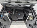 Daumennagel 42 - BMW X3 xDrive 20 i Advantage Panorama Dach