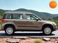 Daumennagel 13 - Skoda Yeti Active  Tüv Neu 1.Hand