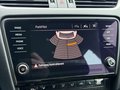 Daumennagel 27 - Skoda Octavia Combi Style Apple CarPlay