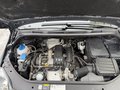 Daumennagel 40 - Volkswagen Golf Plus VI Life BMT 1.Hand