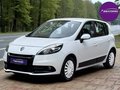 Daumennagel 1 - Renault Scenic III TomTom Edition Klima Tempomat