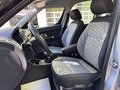 Daumennagel 2 - Skoda Roomster Style Plus Edition