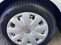 Daumennagel 47 - Skoda Roomster Style Plus Edition