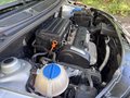 Daumennagel 40 - Skoda Roomster Style Plus Edition