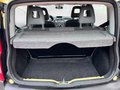 Daumennagel 25 - Fiat Panda 1.1 8V Active  Sep 2025 Tüv