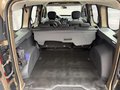 Daumennagel 14 - Dacia Dokker Stepway Plus  Klima Navi SHZ Kamera