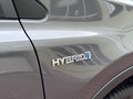 Daumennagel 47 - Toyota RAV4 Hybrid Edition-S Automatik Standheizung