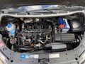 Daumennagel 34 - Volkswagen Caddy 1.6 TDI (7-Si.) BMT Maxi Roncalli Edition