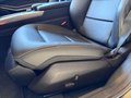 Daumennagel 38 - Mercedes-Benz E 300 BlueTec AVANTGARDE Panorama Dach