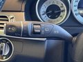 Daumennagel 24 - Mercedes-Benz E 300 BlueTec AVANTGARDE Panorama Dach