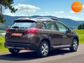 Daumennagel 5 - Peugeot 2008 Allure  Standheizung PDC